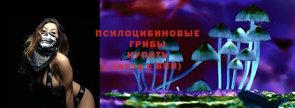 spice Мегион