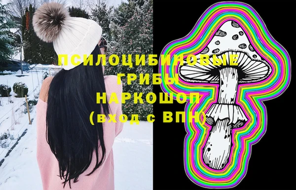 крисы Медногорск