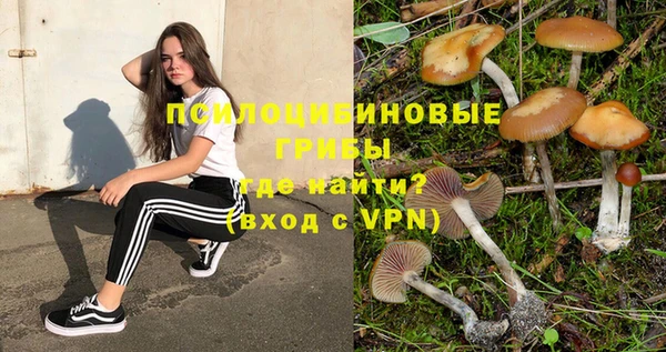 стаф Оленегорск