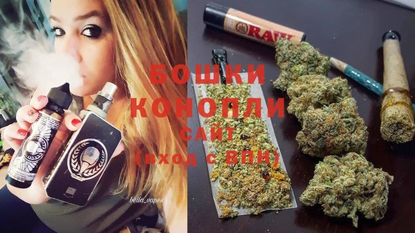 apvp Михайлов