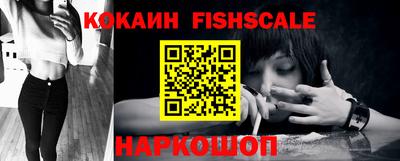тгк Кингисепп