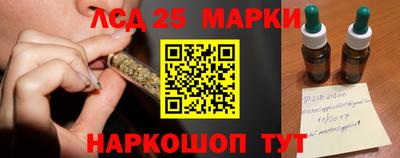 тгк Кингисепп