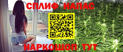 тгк Кингисепп