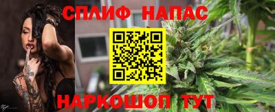 тгк Кингисепп