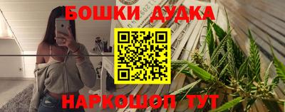 тгк Кингисепп