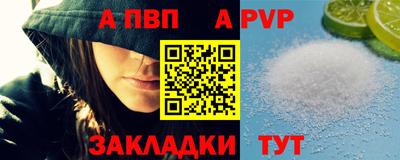 тгк Кингисепп
