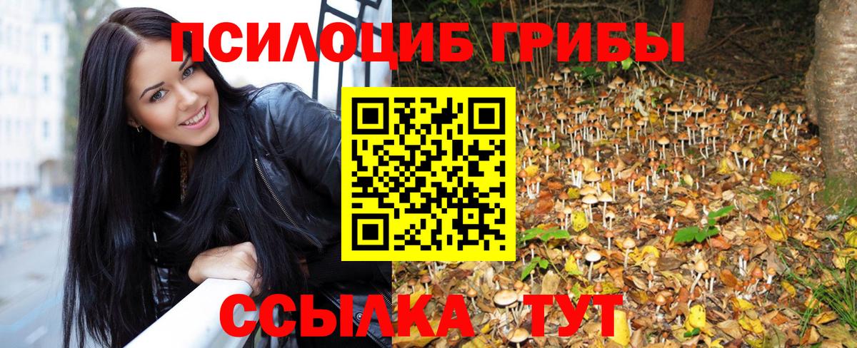 Галлюциногенные грибы мицелий  Тобольск 