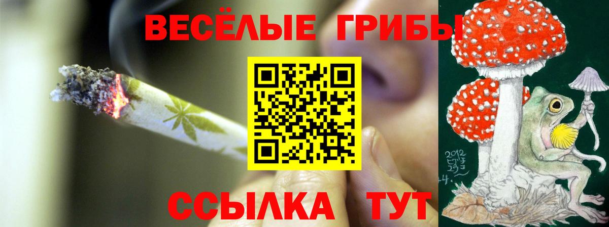 Псилоцибиновые грибы мицелий  даркнет сайт  Тобольск  Вход с VPN 